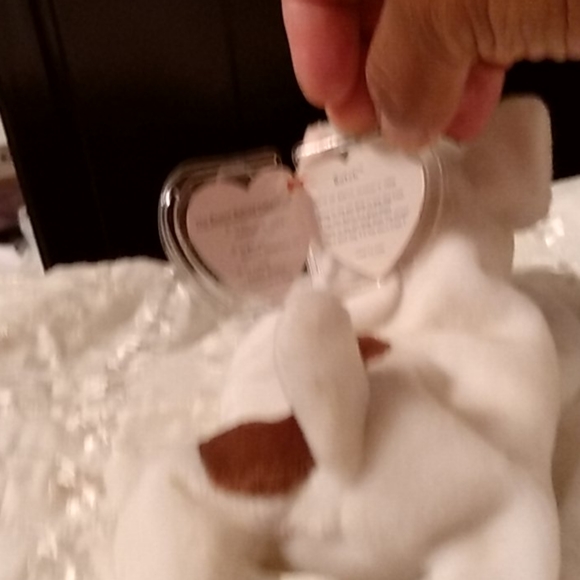 TY, "Butch" beanie dog - Picture 2 of 2